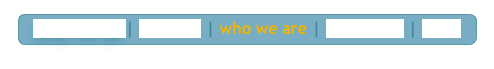 what we do | projects | who we are | contact us | news